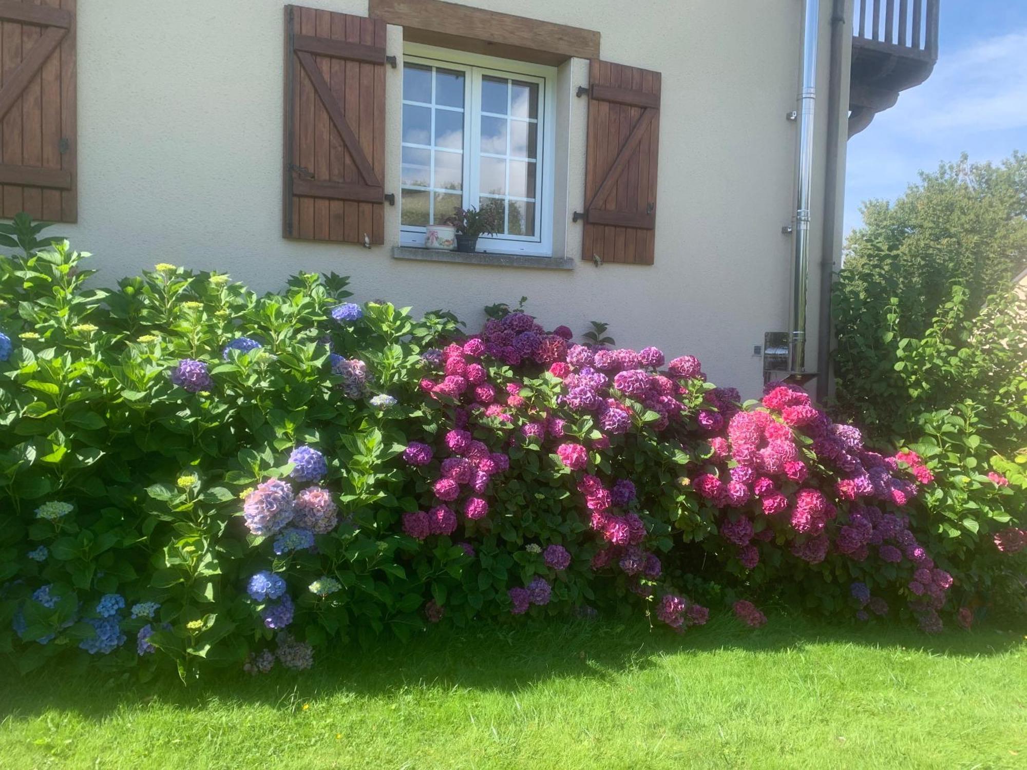 Chambres D'Hotes Le Bignon Dans Les Alpes Mancelles Villaines-la-Juhel 외부 사진